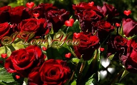 Romance