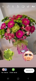 The muppets